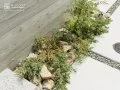 門柱を彩る植栽