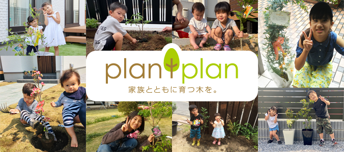 plantplan-家族とともに育つ木を。