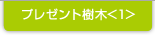 プレゼント樹木<1>