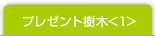 プレゼント樹木<1>
