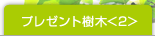 プレゼント樹木<2>