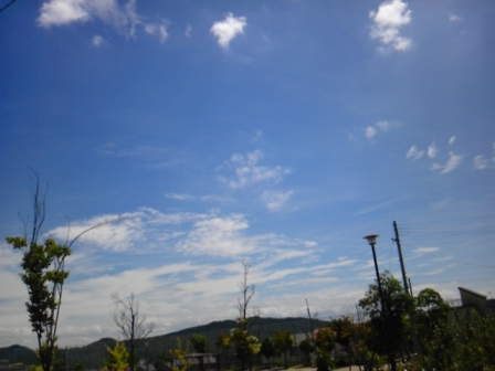 空.jpg 空.jpg
