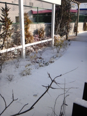 雪の積もった庭.jpg 雪の積もった庭.jpg
