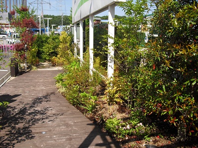 北町店ボーダー.jpg 北町店ボーダー.jpg