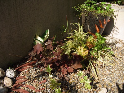 立水栓横の植栽.jpg 立水栓横の植栽.jpg
