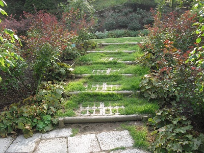 庭の階段.jpg