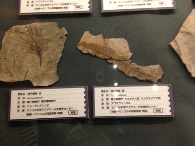 大昔の植物