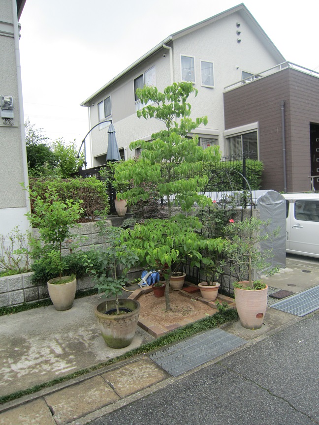 花壇