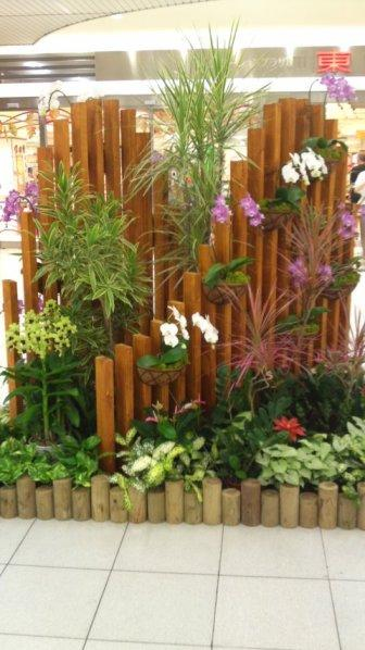 タイル調ホームの植栽