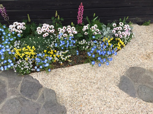 季節のお花　植込み　