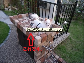 思いもよらぬ情報が!? 思いもよらぬ情報が!?