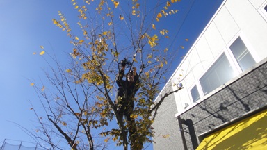 電飾職人
