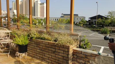 ガーデンプラス神戸　植栽　展示場