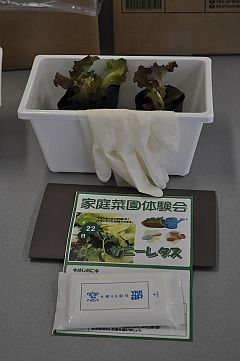 家庭菜園体験セット。