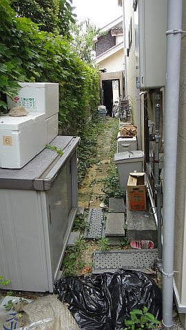 地道に抜くのも大変ですよね。 地道に抜くのも大変ですよね。