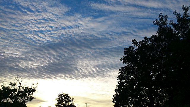 あのステキさが写真では伝えきれない・・・ あのステキさが写真では伝えきれない・・・