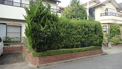 外構工事施工前。