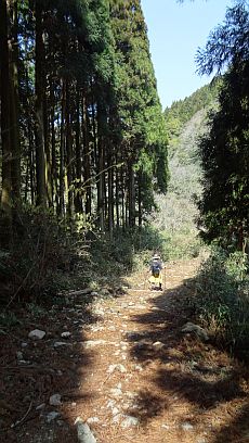 山歩き。