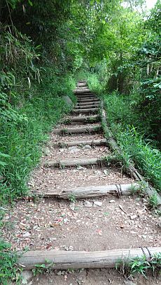 ひたすら登る。そして下る。