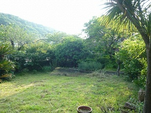 お庭1