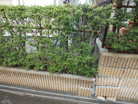 習志野市 外構工事 習志野市 外構工事