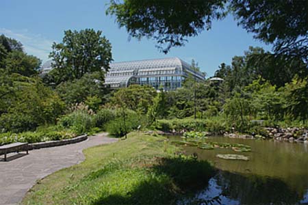 牧野植物園