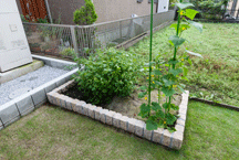 家庭菜園を楽しむお庭 アイディアいっぱいお庭ブログ