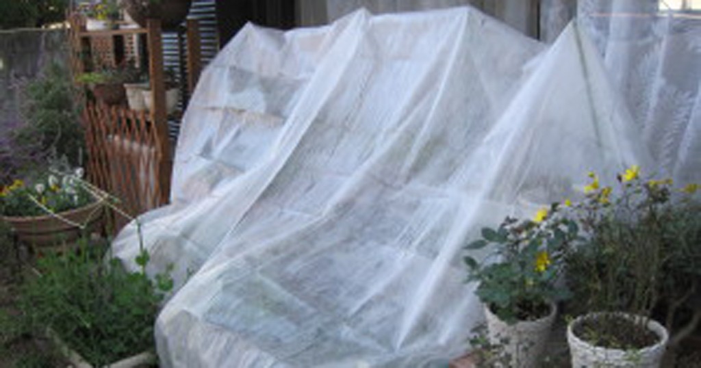 お庭の植栽の霜・風対策 | かんたん庭レシピ
