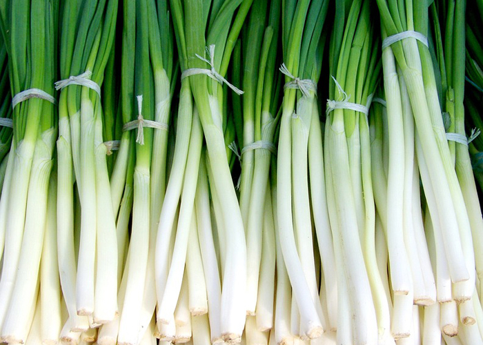 お庭で育てられる美味しい冬野菜 かんたん庭レシピ お庭で育てられる美味しい冬野菜 かんたん庭レシピ