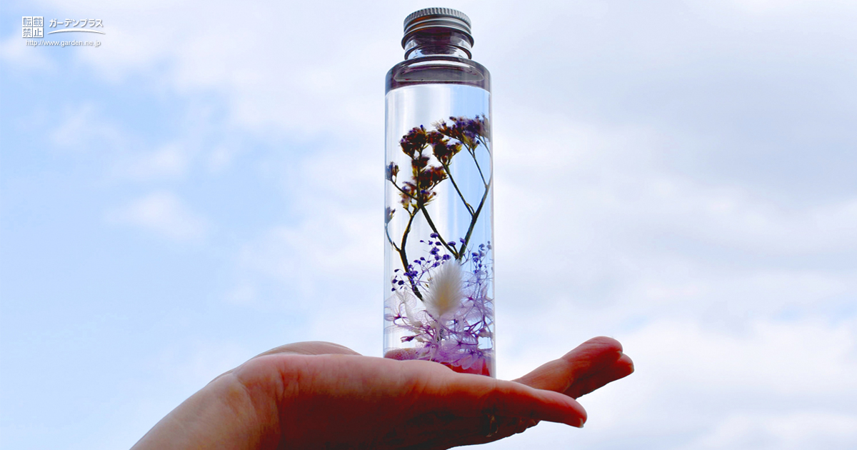 お花の新たな楽しみ方 ハーバリウムって かんたん庭レシピ