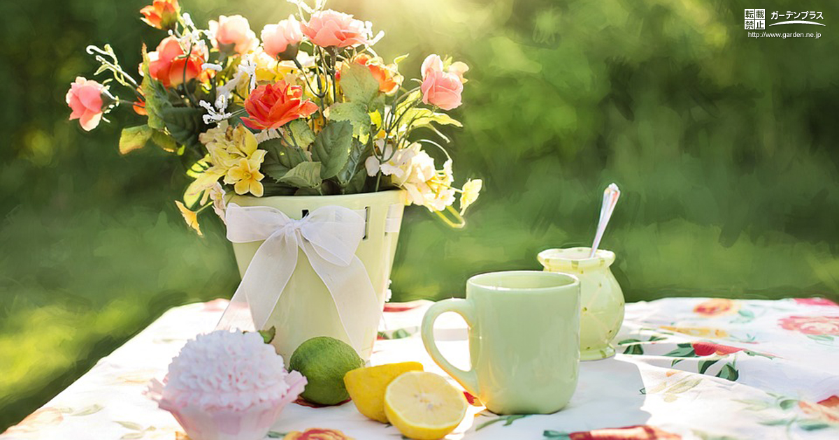 お庭におすすめの夏の花木 かんたん庭レシピ