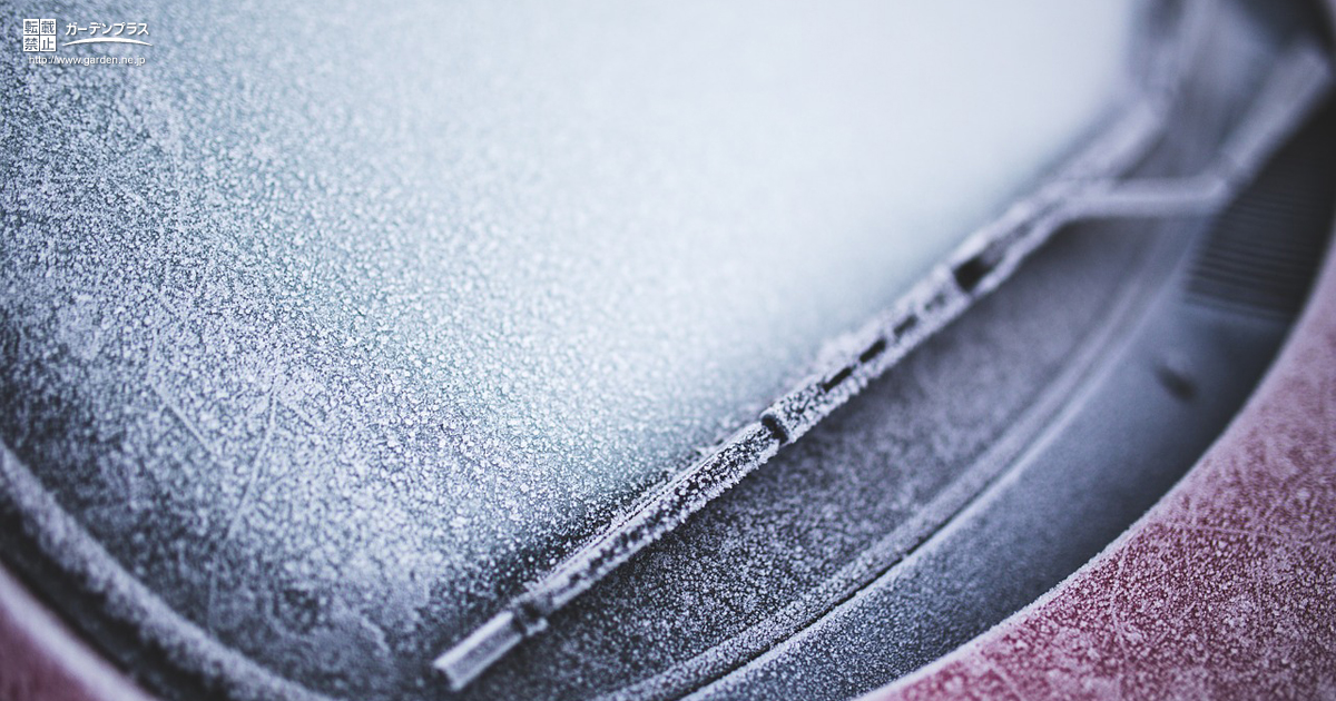 フロントガラスの凍結を防ぐカーポート かんたん庭レシピ