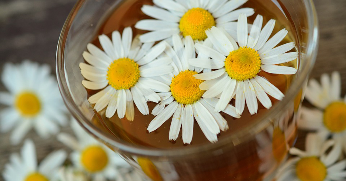 不眠に効くハーブティー かんたん庭レシピ