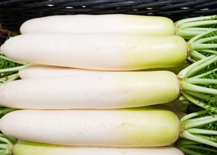 お庭で育てられる美味しい冬野菜vol 2 かんたん庭レシピ お庭で育てられる美味しい冬野菜vol 2 かんたん庭レシピ