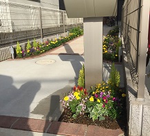 鼻詰まりを解消するハーブ かんたん庭レシピ