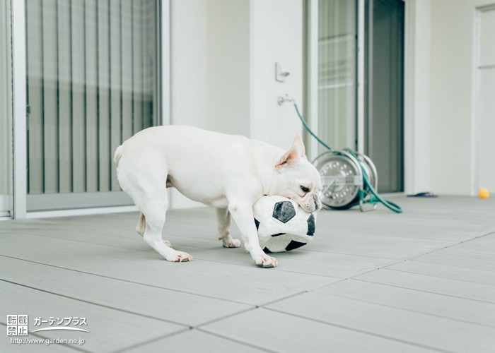 ウッドデッキで愛犬と一緒にくつろぐ 犬も楽しめる屋外スペースの作り方 かんたん庭レシピ