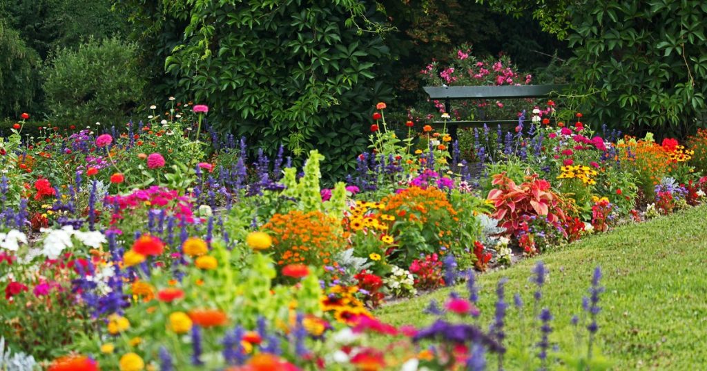 花壇を花いっぱいにしてくれる初夏から夏向きの花 かんたん庭レシピ