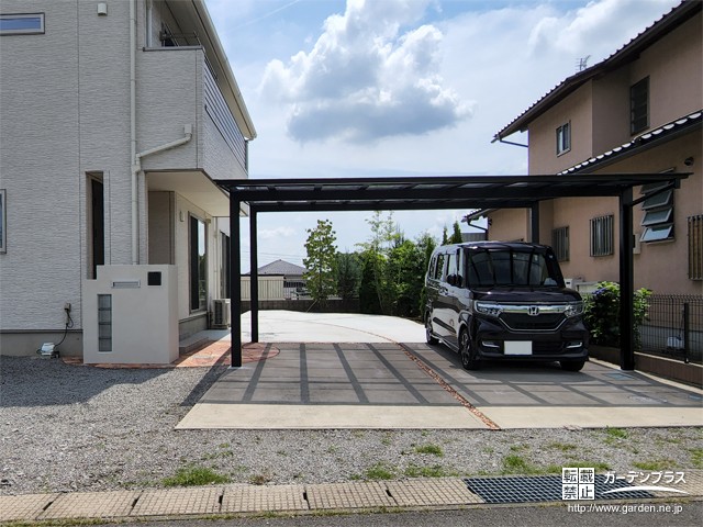 森のもぐらカー　大        
