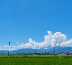 【松本店】お盆休みのお知らせ