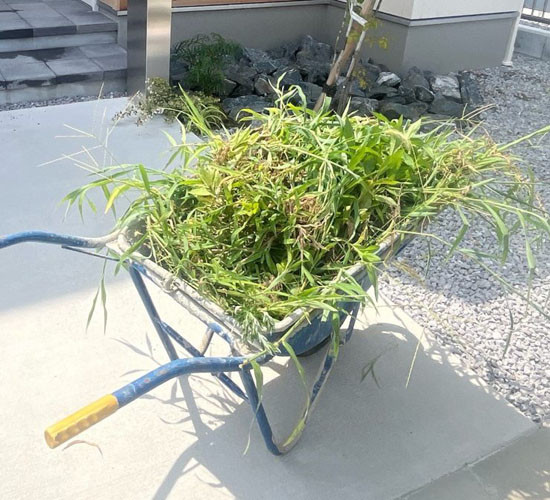 【滋賀栗東店】気になる雑草と対策