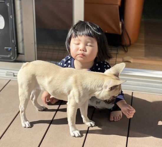 庭にドッグランをつくろう！犬用の庭と遊び場で叶える快適な暮らし
