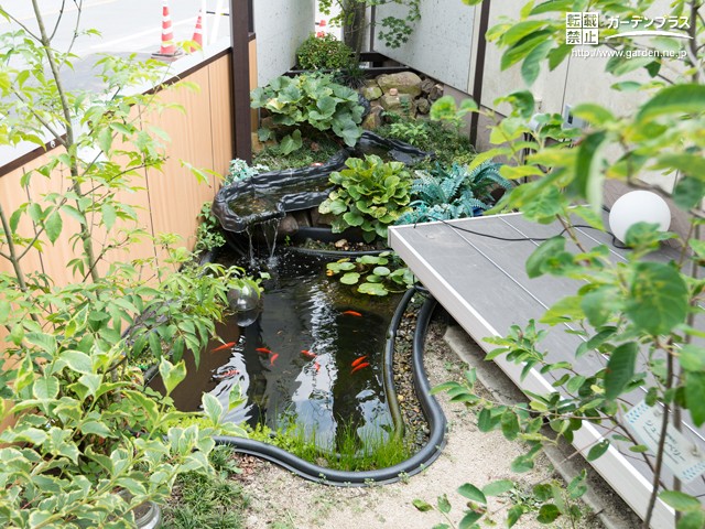 宇都宮店・店舗・池