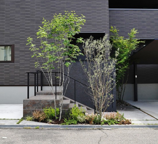 おしゃれな植栽で緑豊かな外構に！シンボルツリーおすすめ5選♪