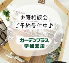 外構の計画を進めよう♪11月 お庭無料相談会のお知らせ
