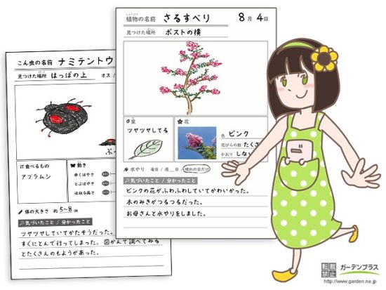 ガーデンプラスオリジナル！自由研究用 観察カードPDFを無料配布します
