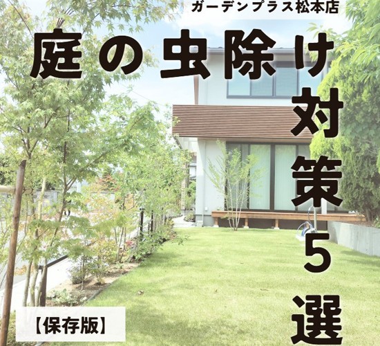 「庭の虫対策」おすすめ５選！原因を知ってしっかり予防しましょう！