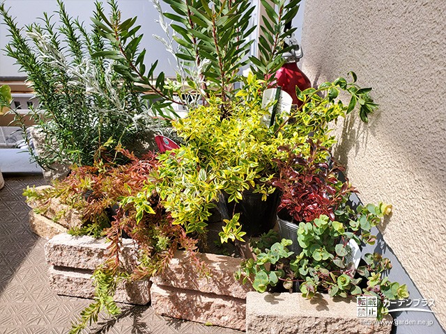 東大阪店・植栽