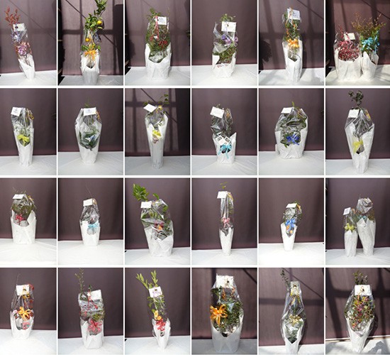 2025年11月発送分のプラントプランについてご報告いたします!