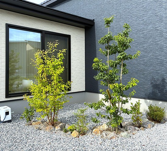 坪庭に彩りをプラスして暮らしを豊かに!緑豊かな植栽はお庭の目隠しも兼ねてくれます♪