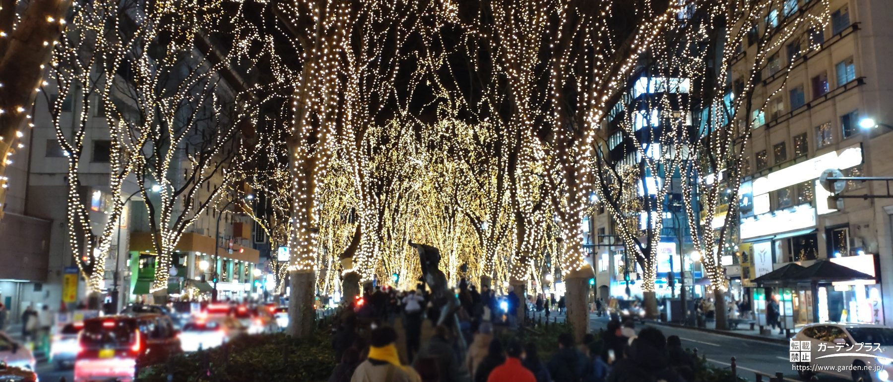 光のページェント